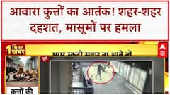 Stray Dog Attack: Ludhiana से Pune तक आतंक, 25 लोग घायल, बच्चे भी शिकार