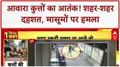 Stray Dog Attack: Ludhiana से Pune तक आतंक, 25 लोग घायल, बच्चे भी शिकार