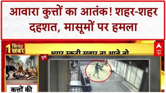 Stray Dog Attack: Ludhiana से Pune तक आतंक, 25 लोग घायल, बच्चे भी शिकार