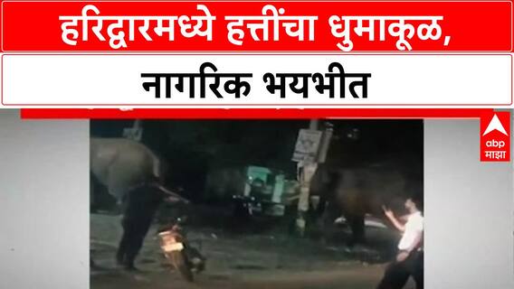 Elephant Haridwar | हरिद्वारमध्ये हत्तींची दहशत, नागरिकांमध्ये दहशत