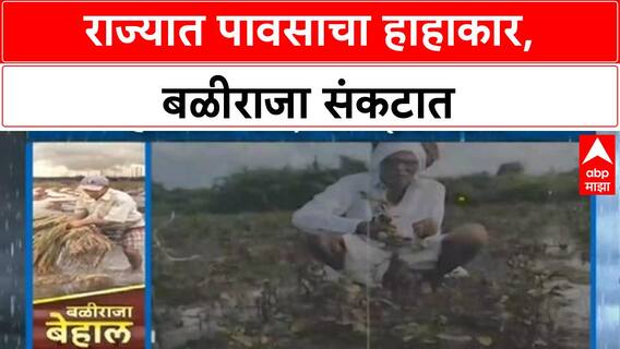 Heavy Rains | 63.51 लाख एकर पिकांचे नुकसान,राज्यात पावसाचा हाहाकार, बळीराजा संकटात