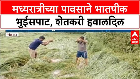 Heavy Rain Crop Damage | भंडारा जिल्ह्यात भातपीक भुईसपाट, दिवाळी तोंडावर शेतकरी हवालदिल