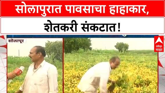 Solapur Rain Crop Loss | सोलापूरमध्ये 'अतिवृष्टी', शेतकरी 'चिंतेत', दिवाळी तोंडावर!