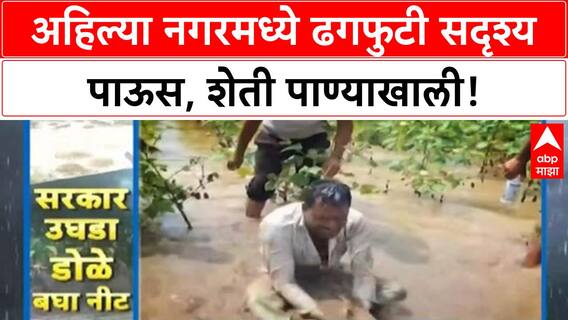 Heavy Rains Crop Damage | अहिल्यानगरमध्ये झेंडूची शेती पाण्याखाली, बळीराजा संकटात!