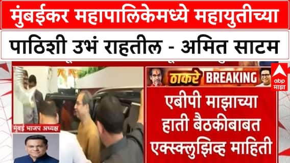 Amit Satam On Thackeray Brothers | मुंबईकर महापालिकेमध्ये महायुतीच्या पाठिशी उभं राहतील - अमित साटम