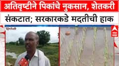 Hingoli Rain: हिंगोलीत अतिवृष्टीने पिकांचे मोठे नुकसान, शेतकरी मदतीच्या प्रतीक्षेत