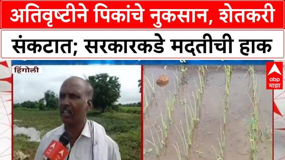 Hingoli Rain: हिंगोलीत अतिवृष्टीने पिकांचे मोठे नुकसान, शेतकरी मदतीच्या प्रतीक्षेत