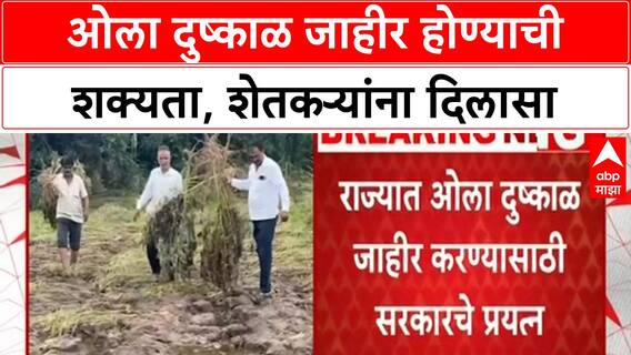 Wet Drought | ओला दुष्काळ जाहीर होण्याची शक्यता, शेतकऱ्यांना दिलासा