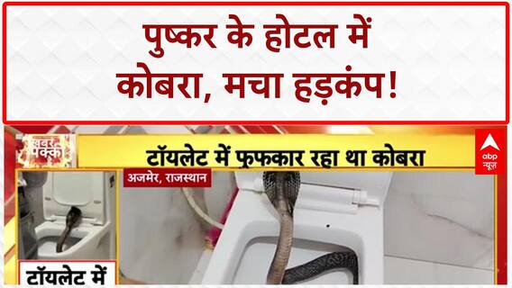 Cobra in Toilet: Ajmer के Hotel में 5 फीट का Cobra, Tourist के उड़े होश!