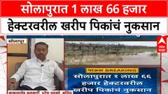 Maharashtra Crop Damage | सोलापुरात 1 लाख 66 हजार हेक्टरवरील खरीप पिकांचं नुकसान