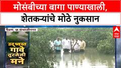 Crop Damage | पैठणमध्ये Orange बागा पाण्याखाली, Jayakwadi च्या पाण्याने शेतकरी उद्ध्वस्त