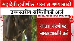 Madhuri Elephant Case | महादेवी हत्तीणीला परत आणण्यासाठी उच्चस्तरीय समितीकडे अर्ज