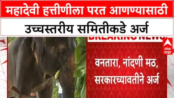 Madhuri Elephant Case | महादेवी हत्तीणीला परत आणण्यासाठी उच्चस्तरीय समितीकडे अर्ज