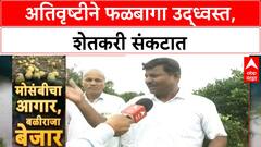 Crop Damage | पैठणमध्ये फळबागांचे नुकसान, शेतकरी तोडतायत झाडं; कर्जमाफीची मागणी