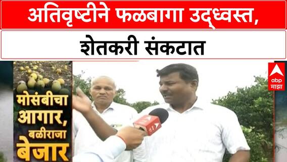 Crop Damage | पैठणमध्ये फळबागांचे नुकसान, शेतकरी तोडतायत झाडं; कर्जमाफीची मागणी