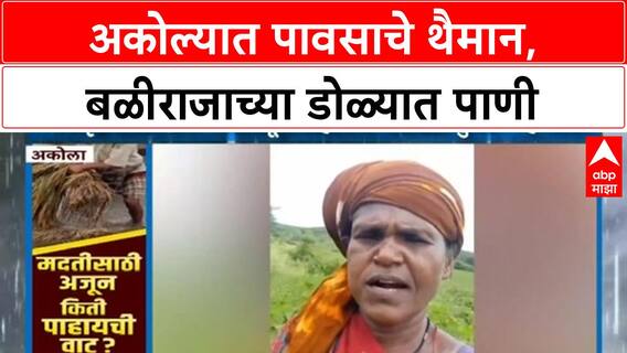 MAHARASHTRA RAINS: Akola जिल्ह्यात अतिवृष्टी, खरीप हंगाम वाया, शेतकरी संकटात