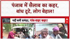 Punjab Floods: 23 Districts आपदाग्रस्त, कई Dam टूटे, एक की Death, किसान बेहाल!