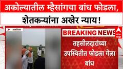Akola Farmers Relief | ABP Majha च्या Impact मुळे Mhaisang मधील बांध फोडला, 300 एकर शेतकऱ्यांना न्याय!