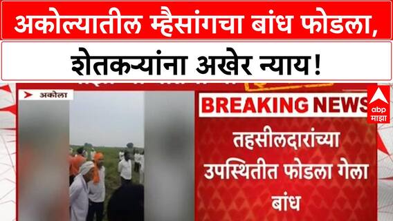 Akola Farmers Relief | ABP Majha च्या Impact मुळे Mhaisang मधील बांध फोडला, 300 एकर शेतकऱ्यांना न्याय!