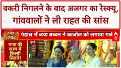 Python Rescue: Basti में बकरी निगलने के बाद अजगर का रेस्क्यू, ट्रक से जंगल छोड़ा