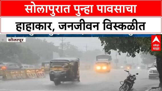 Solapur Rain : सोलापुरात पुन्हा मुसळधार पावसाला सुरूवात, बळीराजा चिंतेत