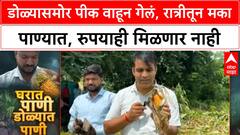 Chhatrapati Sambhajinagar Crop Damage | मका पीक उद्ध्वस्त, रुपयाही नाही, शेतकरी मदतीच्या प्रतीक्षेत