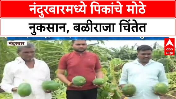 Unseasonal Rain | उत्तर महाराष्ट्रात Banana, Papaya पिकांचे मोठे नुकसान, शेतकरी हवालदिल