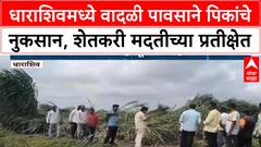 Heavy Rains | राज्यात वादळी वाऱ्यासह पावसाचा अंदाज, Dharashiv मध्ये पिकांचे मोठे नुकसान!