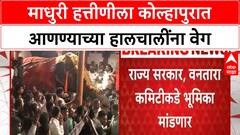 Kolhapur Madhuri | माधुरी हत्तीणीला कोल्हापुरात आणण्याच्या हालचालींना वेग