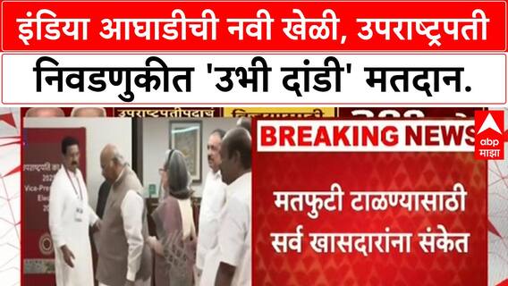 Vice President Election | INDIA आघाडीची नवी खेळी: 'उभी दांडी' मारून B. Sudarshan Reddy यांना मतदान