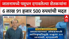 Animal Loss Compensation | Jalna मध्ये 22 जनावरांच्या मृत्यूसाठी ₹6.91 लाख मदतीचे वाटप सुरू