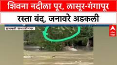 Chhatrapati Sambhajinagar Flood : Lasur मध्ये Shivna नदीला पूर, रस्ता बंद, जनावरे अडकली