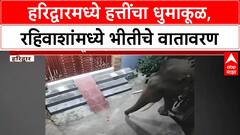 Haridwar Elephant Terror | हरिद्वारच्या रहिवासी भागात हत्तींची दहशत, नागरिक भयभीत, वनविभाग हतबल