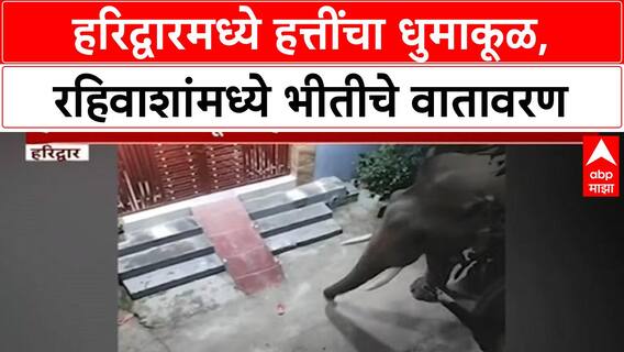 Haridwar Elephant Terror | हरिद्वारच्या रहिवासी भागात हत्तींची दहशत, नागरिक भयभीत, वनविभाग हतबल