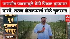 Parbhani Crop Damage | उच्चशिक्षित शेतकऱ्याच्या भेंडी पिकाचं मोठं नुकसान