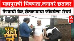 Dharashiv Flood : महापुराची भिषणता,जनावरं छतावर नेण्याची वेळ,शेतकऱ्याचा जीवघेणा संघर्ष