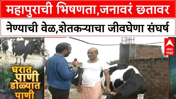 Dharashiv Flood : महापुराची भिषणता,जनावरं छतावर नेण्याची वेळ,शेतकऱ्याचा जीवघेणा संघर्ष