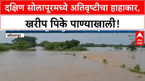Solapur Rain : सोलापूर- पंचक्रोशीतील गावांमध्ये पिकांचं मोठं नुकसान