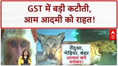 Next Gen GST Reforms: जनता को बड़ी राहत, PM Modi का 'बचत उत्सव' तोहफा!