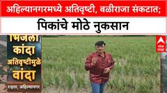 Ahilya Nagar Crop Damage | Rahata तालुक्यात Onion, Soybean पिकांचे मोठे नुकसान, बळीराजा संकटात