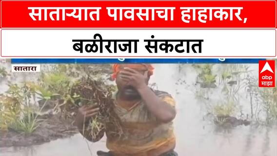 Heavy Rain Crop Damage | साताऱ्यात Soybean चे मोठे नुकसान, बळीराजाला अश्रू अनावर