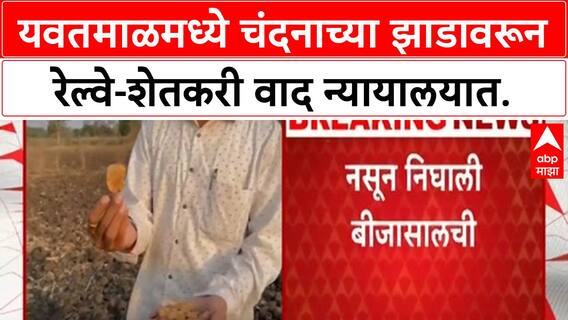 Sandalwood Tree Valuation Row | यवतमाळमधील १ कोटींच्या लाल चंदनाची झाडं निघाली १० हजारांची
