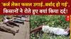 Crop Damage: MP के Sehore में Soybean फसल बर्बाद, किसान सड़कों पर