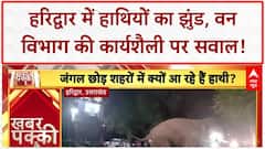 Elephant Intrusion: हरिद्वार में 'हाथियों' का आतंक, 'वन विभाग' पर सवाल!