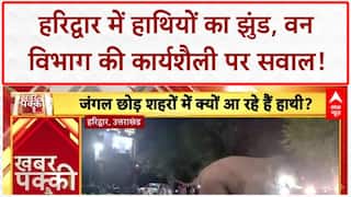 Elephant Intrusion: हरिद्वार में 'हाथियों' का आतंक, 'वन विभाग' पर सवाल!