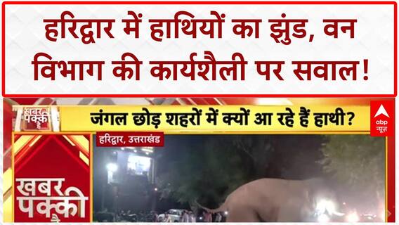 Elephant Intrusion: हरिद्वार में 'हाथियों' का आतंक, 'वन विभाग' पर सवाल!