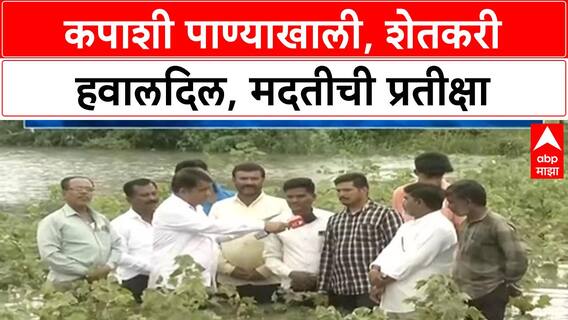 Marathwada Flood | कापूस पीक पाण्याखाली, शेतकरी संकटात, मदतीवर प्रश्नचिन्ह