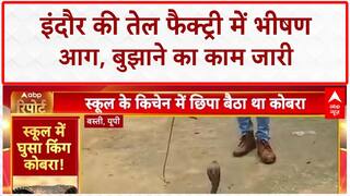 Indore Oil Factory Fire: Oil Factory में भीषण आग, आसमान में धुएं का गुबार!