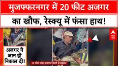Python Rescue: Muzaffarnagar में 20 फीट अजगर का आतंक, रेस्क्यू में हाथ जकड़ा!
