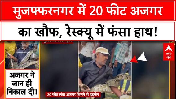 Python Rescue: Muzaffarnagar में 20 फीट अजगर का आतंक, रेस्क्यू में हाथ जकड़ा!